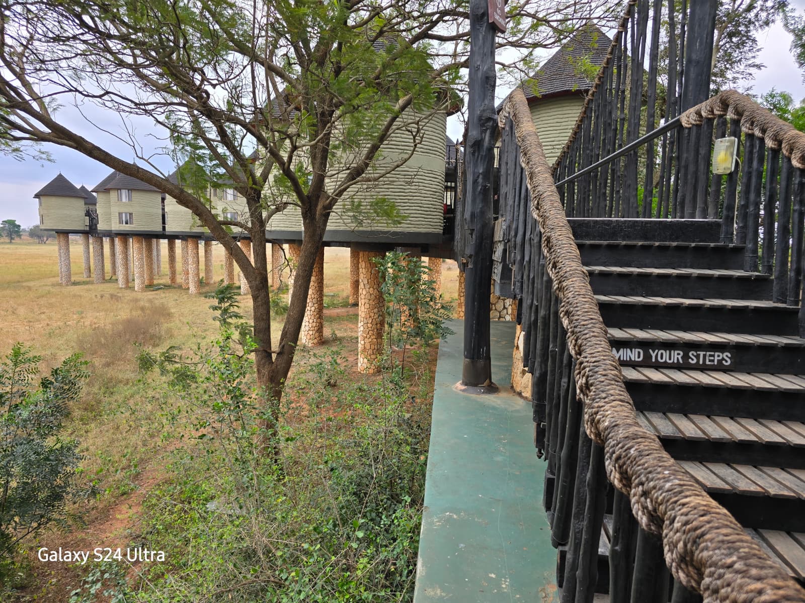 Safari Rafiki — Tsavo East e Salt Lick Lodge nelle Taita Hills